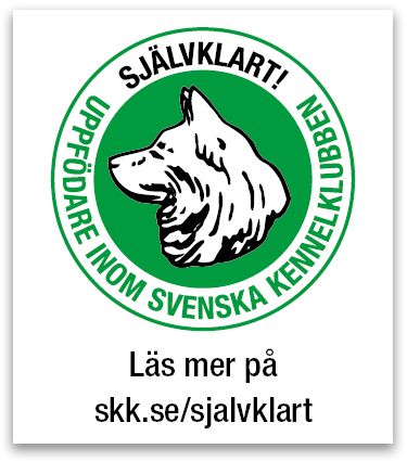 Svenska Kennelklubben